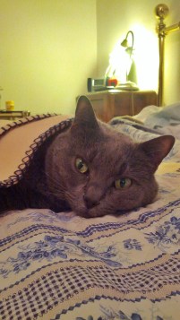 IMG-20141224-WA0001_1